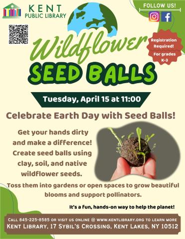 seed balls